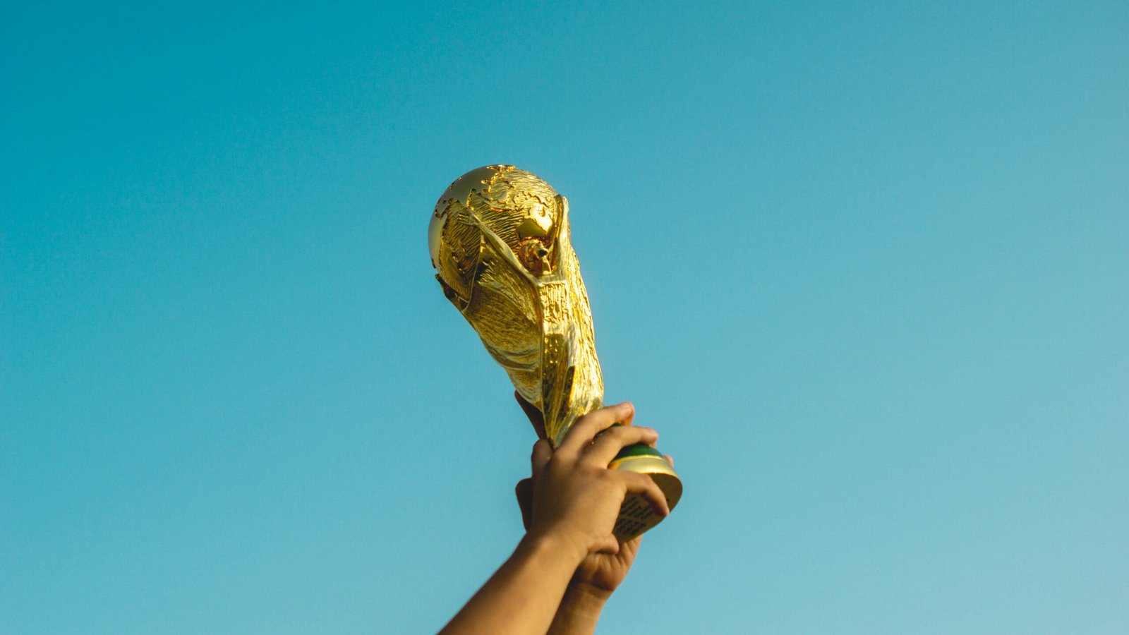 person holding gold trophy